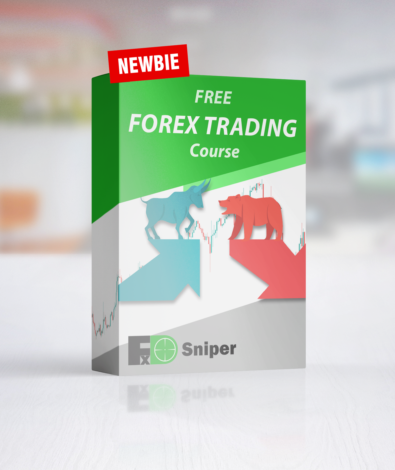 Newbie Free Forex Trading Course