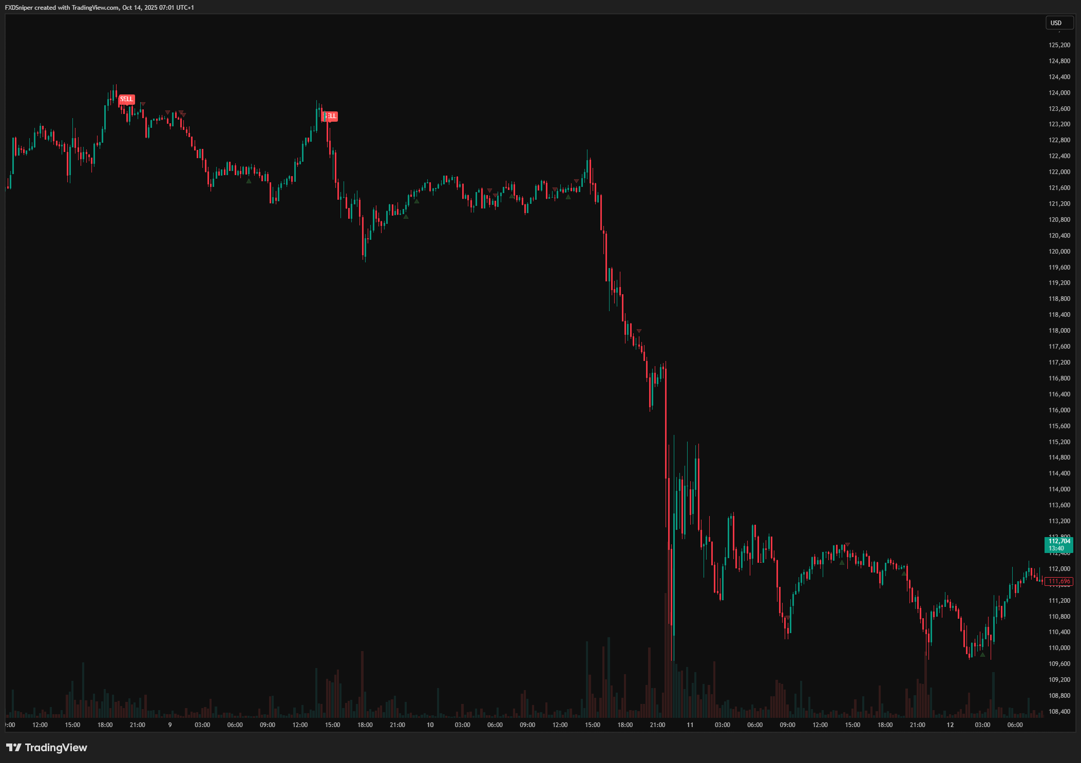 Bitcoin biggest crash 2025